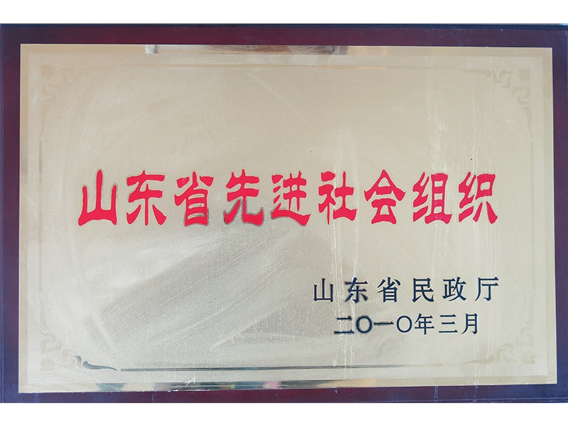 2010年山东省先进社会组织