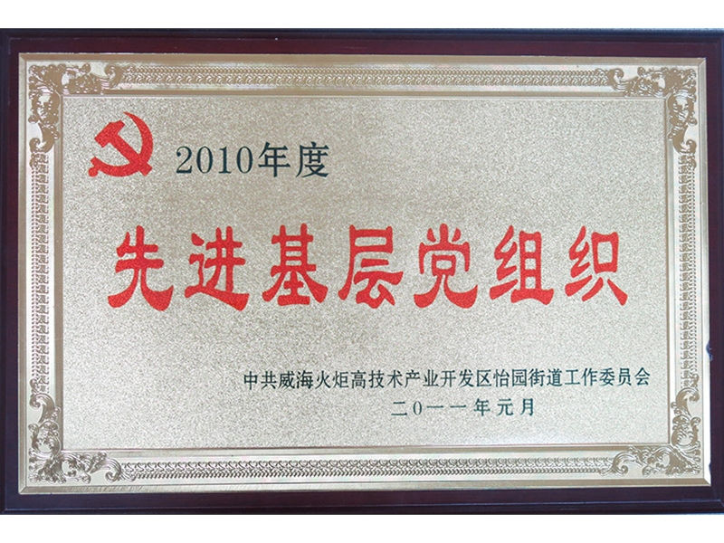2010年先进基层党组织