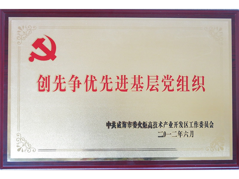 2012年创先争优先进基层党组织