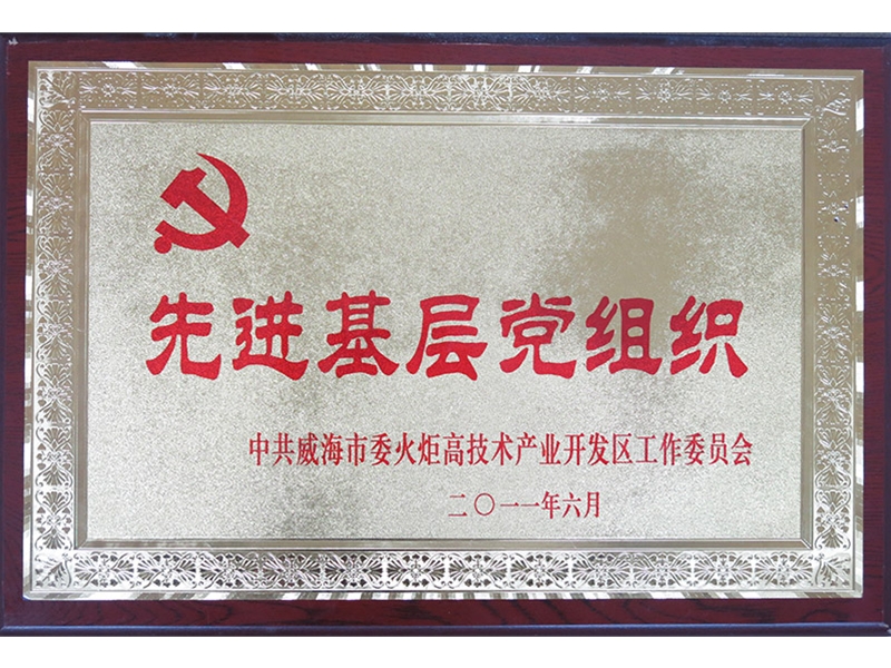 2011年先进基层党组织