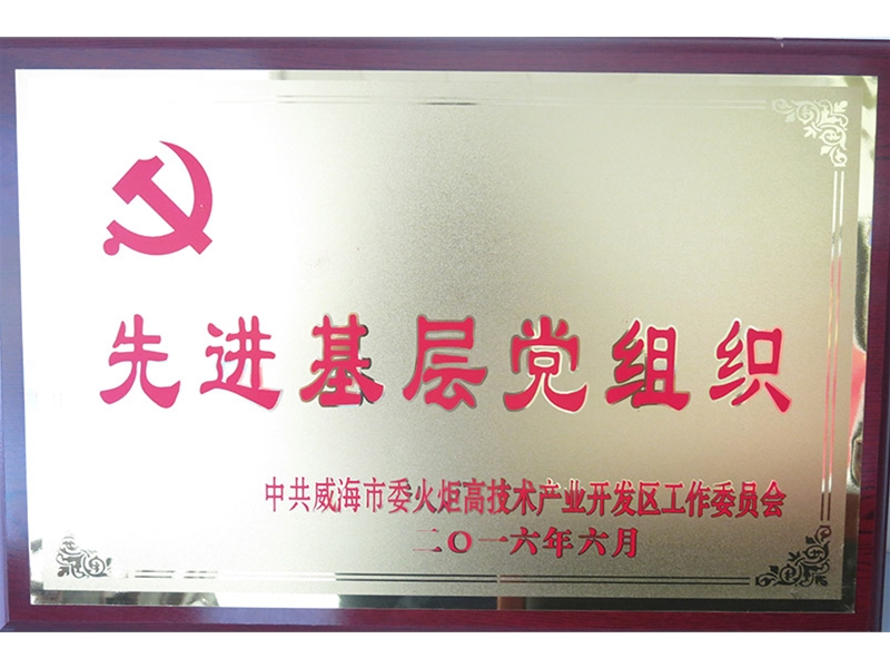 2016先进基层党组织